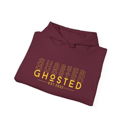 Glitched Ghosted Hoodie