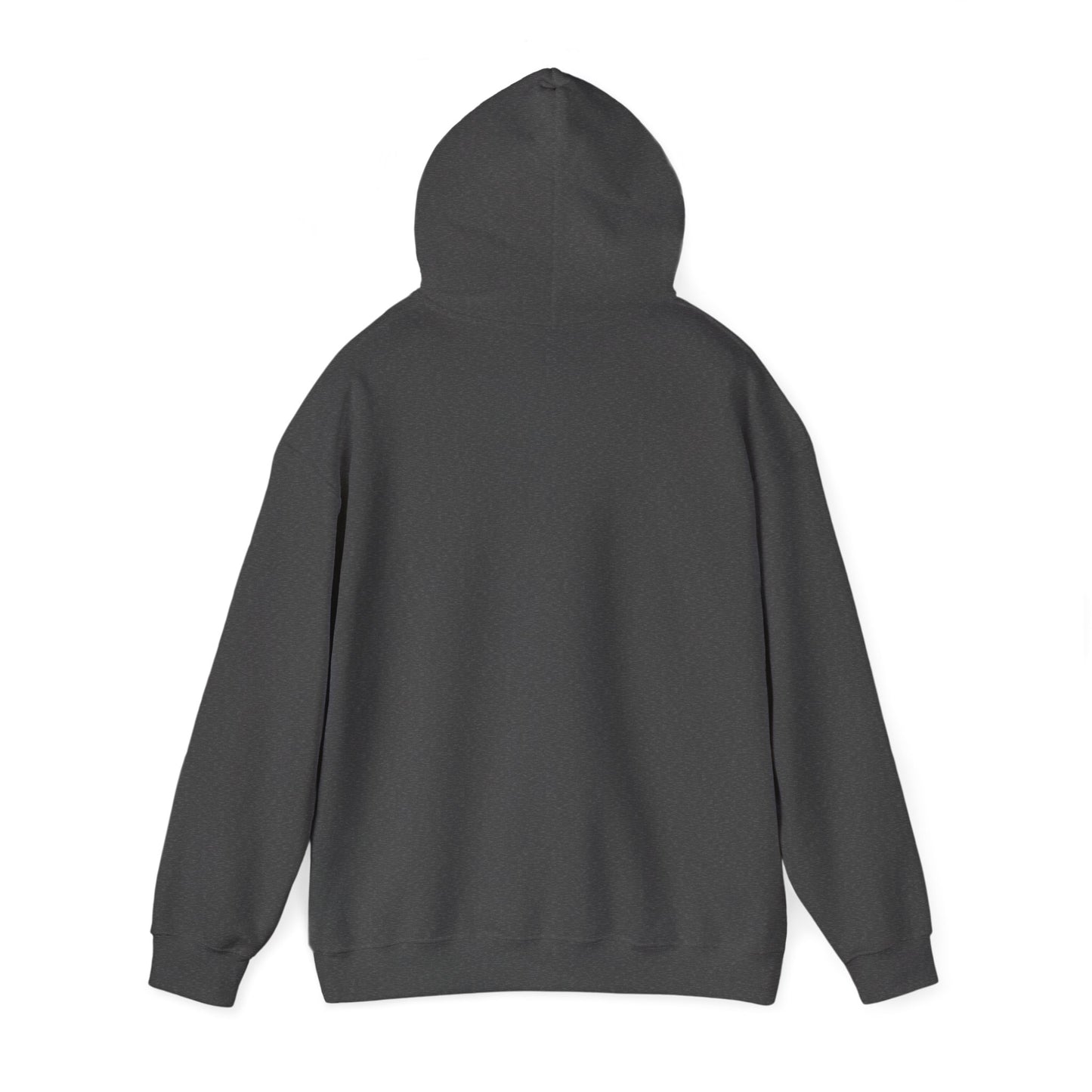 Glitched Ghosted Hoodie