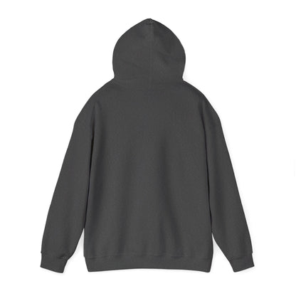 Glitched Ghosted Hoodie